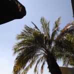 ラスベガスを旅したブログ