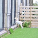 KAReN HaMaNaKo with Dogに宿泊して来ました④