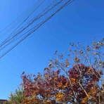 通勤ウォーカー