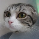 お店で1歳を迎えたナナと出会った日のこと