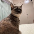 【お前がハズレ】俺３６歳、年収２６０万。彼女が金目当てのハズレ女じゃないかどうか試すために「仕事クビになった」と嘘をついたら、半月後にガタイのいい男達に取り囲まれ・・・