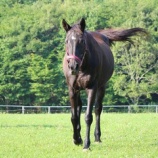 『あれから１年』の画像