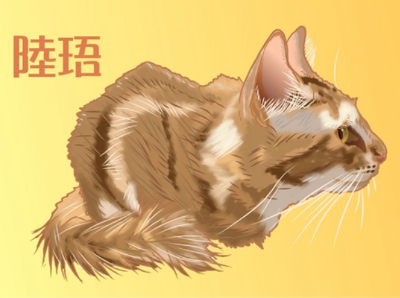 アホか、そうでないか　20260904