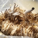 汗を絞り出して軽やかに