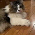 命日を忘れた義母