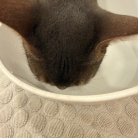 鼻低っ！