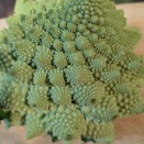 ロマネスコの天ぷら