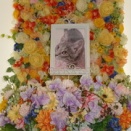 水戸市の愛猫リリィちゃんの個別火葬【ペット火葬・霊園・水戸市】