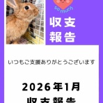 for the RABBIT【保護うさぎの里親探し】