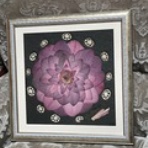 HanaBana-art