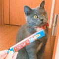 専業主婦の妻に小遣いを月５万渡してるんだけど、「経済ＤＶだもっと金よこせ」と言う。「なら働けば？家事全部やるなら稼ぎ全額小遣いにしていいよ」と言うと「モラハラだ！」と。