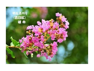 暦‐2026年7月24日