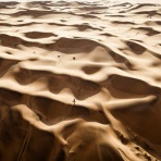 okalin blog『岡本輪業』