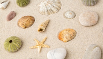 祟り神?コイツは何なんだ…海辺で発見された神秘的な生物の正体