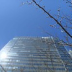 [JDM OPTIONブログ] ボンバーやまもとの舌叫爆撃機