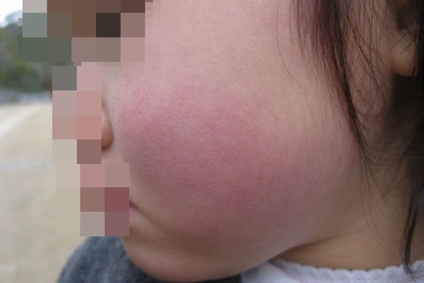 転勤家庭の育児生活記 さくら ３歳