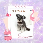 日々、ＪＡＭにあり