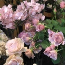 4/12 ～春の揺らぎをリセットするセルフケア習慣～