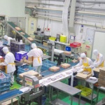 食品工場のバイトが全然単純作業じゃない件 	