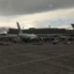 アナログ魂