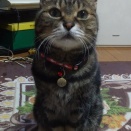 ねじ、ありがとう