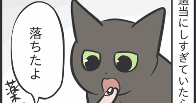 ついに投薬に気づいてしまった猫