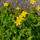 四季折々の写真：2026年4月