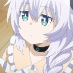 アニちゃん通信