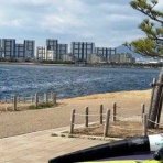 淀川大好きのウイングばか一代