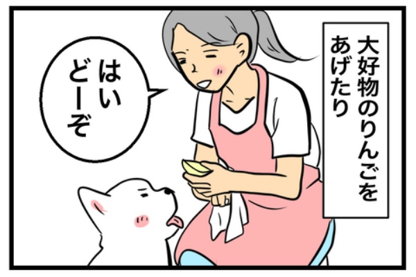 ちーちゃんっ🐾 - ちーちゃんですけどもっ