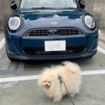 ニュウぴぃちゃんカー。
