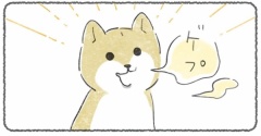 ジャーキーが食べたくて