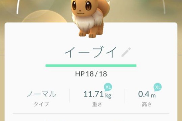 のぶおとがとら ポケモンgo