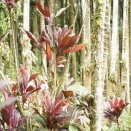 各々が持つ力の大きさ