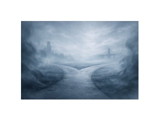 洗面器で放置された金魚が可哀想で俺が世話してたのに…嫁が「旦那が夢中でｗ」と小ばかにしていて本気で腹が立った