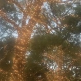 『今までとこれからの働き方の違い　vol.4248』の画像