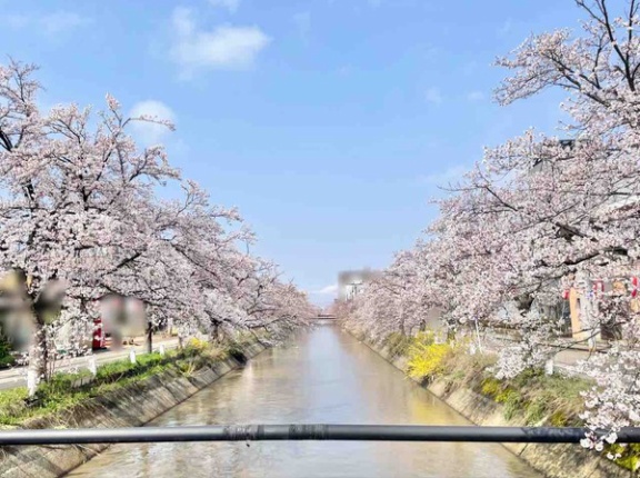 2025年総決算！2025年『ながおか速報』で最も読まれた人気記事は？2025年人気記事まとめ。