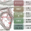 まんのう町図書館郷土史講座NO４　西長尾城は土佐軍によって大改修され「国吉城」となった。