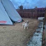 Hide san 色々日記