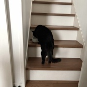 まだまだ若々しいスミちゃん