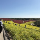 国営ひたち海浜公園へ列車で