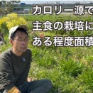 【ちよこっと自給農】〈物価高騰・食料危機に備える〉サバイバル最強野菜のニラを栽培すべし！それに加えて芋と大豆の栽培と備蓄を！