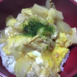 『親子丼・変わり親子丼・豚丼・チキンカツ丼』の画像