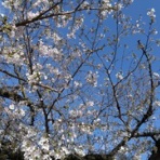 十三の話-不動産会社で生きるということ