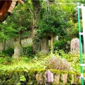 5/30～6/2間で、ノンビリと「七面山〝敬慎院・奥の院〟」に参詣でした(05)