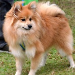 クラクラ☆317☆