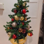 東京都庁水泳部公式ブログ