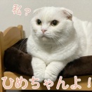 殿が・・？