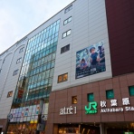 さえひろでいず