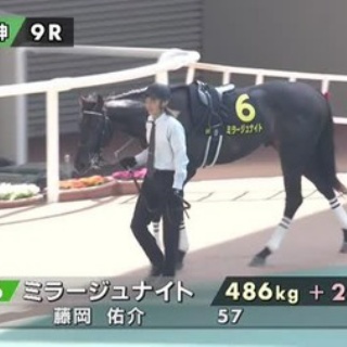 ☆うまなみ・競馬にゅーす速報